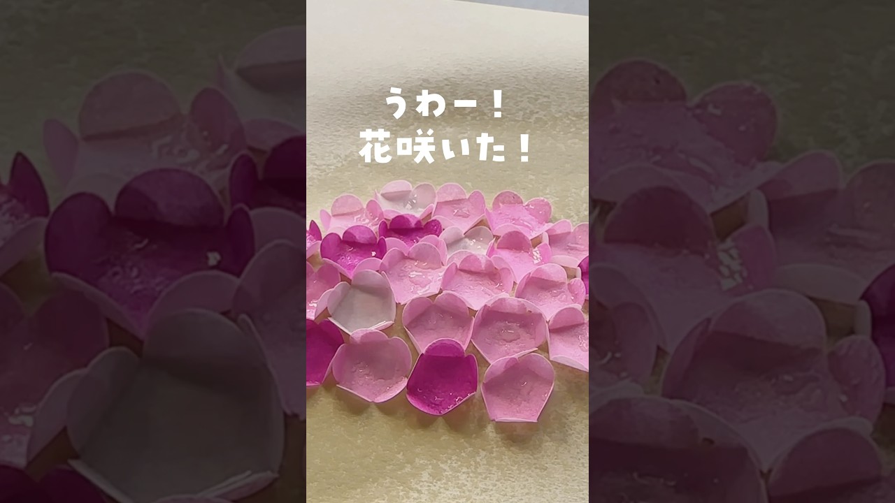 【お花見気分】シュッシュで満開！おうちで楽しめる可愛いお花の作り方！
