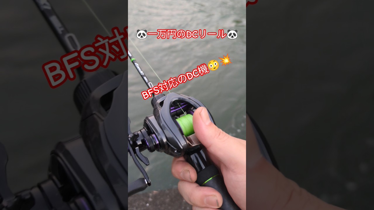 1万円以下で買えるBFS DCリール出た❗＃渓流ベイトフィネス ＃渓流ルアー ＃BFSFISHING