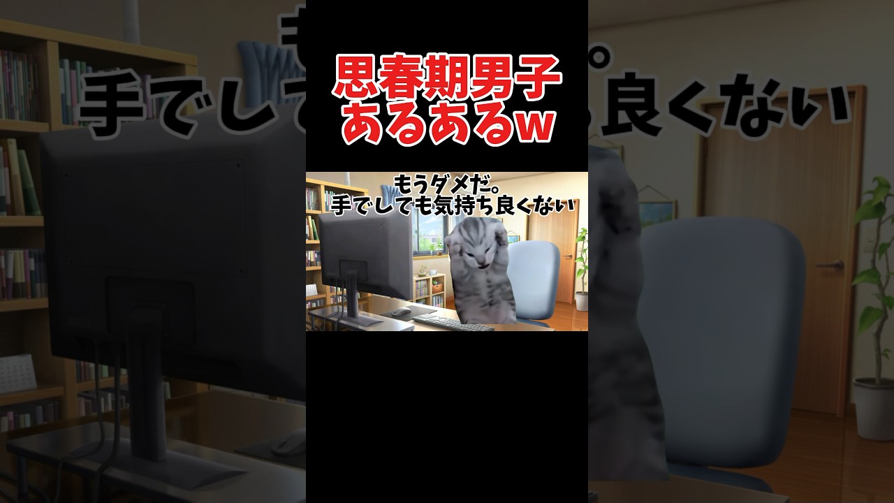 【猫ミーム】思春期男子のあるある体験談！ww #shorts #猫ミーム #あるある