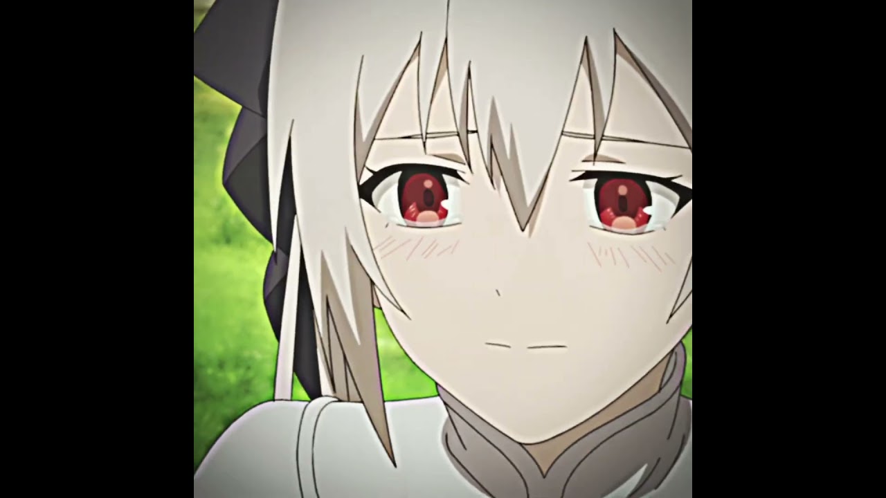 久しぶりの編集ヽ(*'▽'*)ﾉパリィするの、リーン可愛い！#anime #可愛い #俺は全てをパリィする#スピカ