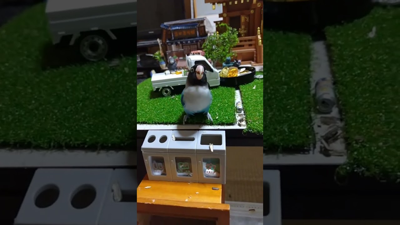 おかえりというとただいまというオキナインコ