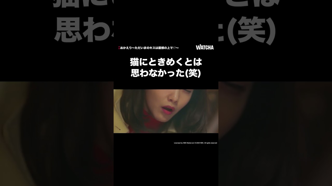 [WATCHA] 危険に陥った彼女を助けるのは猫…じゃなくてイケメン❗️❓ 「#おかえり～ただいまのキスは屋根の上で」