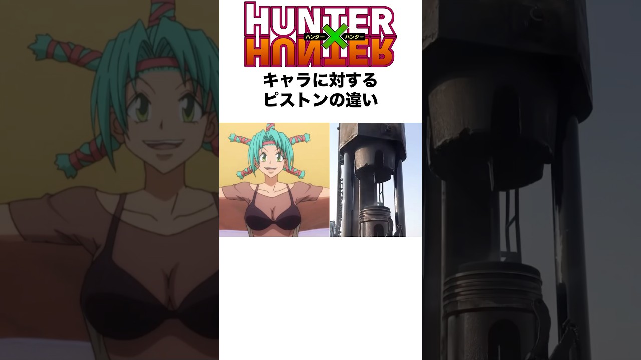 HUNTER×HUNTERキャラに対するピストンの違い #hunterxhunter #ハンターハンター #hxh #アニメ #shorts
