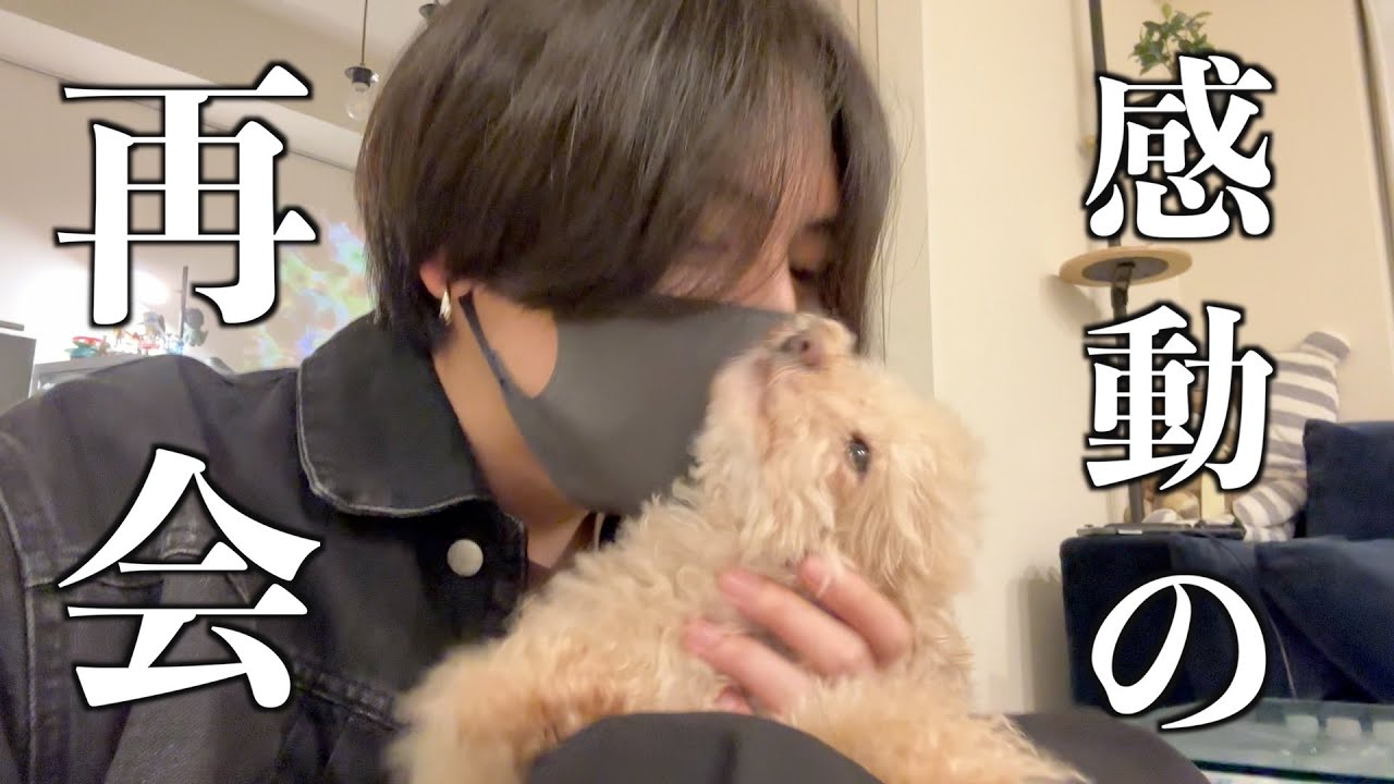 「ただいま」と「おかえり」の挨拶が中々終わらない犬と独身男