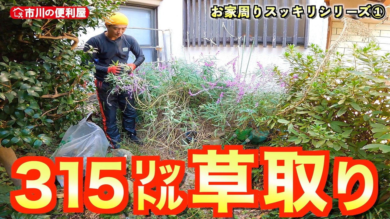 お庭＆狭小通路草取り🍀【お家周りｽｯｷﾘｼﾘｰｽﾞ①】超ご近所さんからのご依頼ヽ(=´▽`=)ﾉ伐採剪定枝を集積エリア確保作業🏠️市川市の便利屋！各作業料一覧、お問い合わせ先は概要欄をご覧下さい！