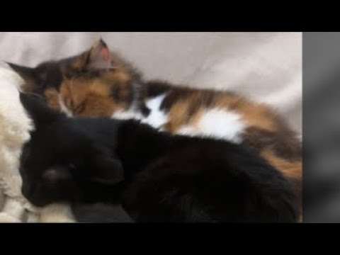 ただいまおかえり（6時間ぶり3回目）