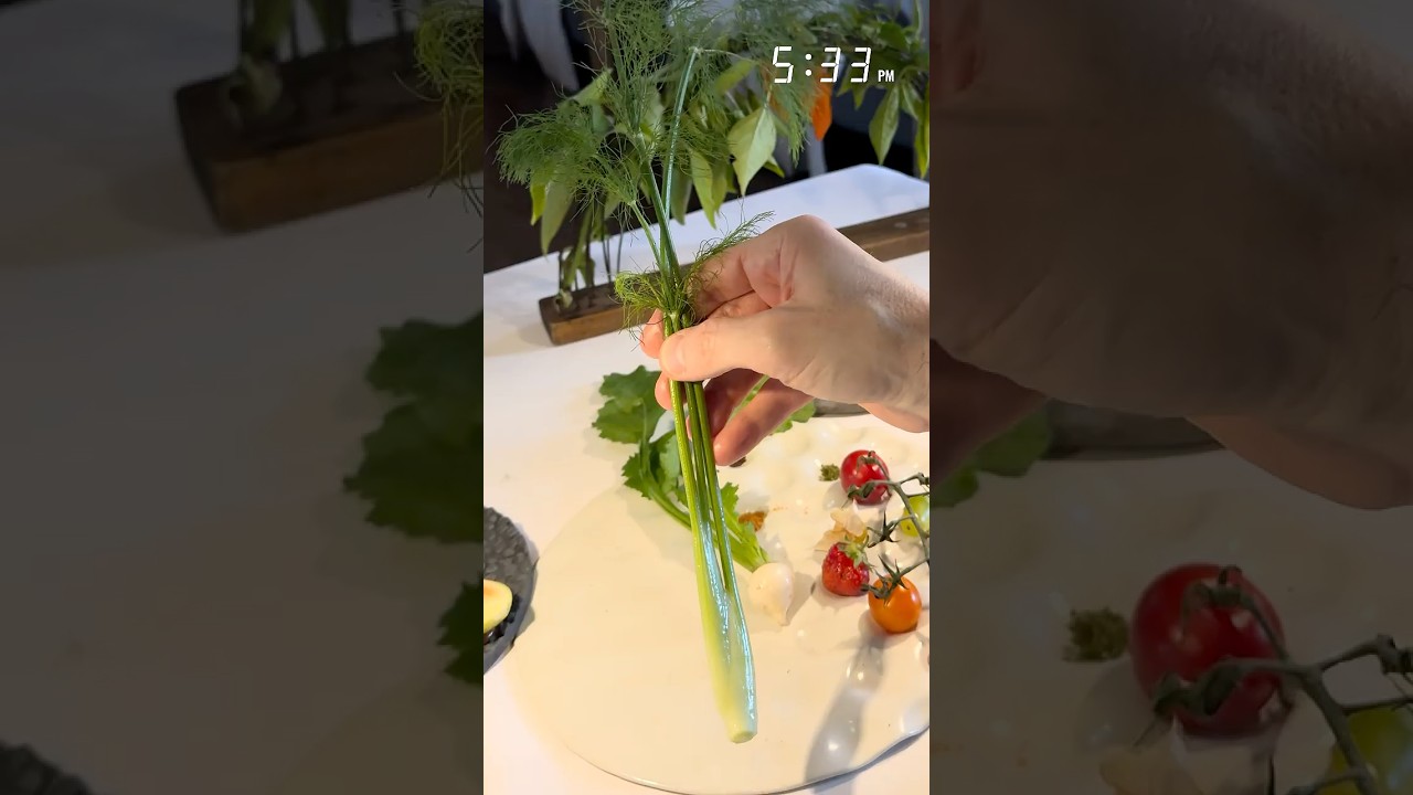 アメリカで最も美味しいメニューのオープニングラウンド⭐️⭐️ミシュランの星を獲得したブルーヒル・アット・ストーン・バーンズ