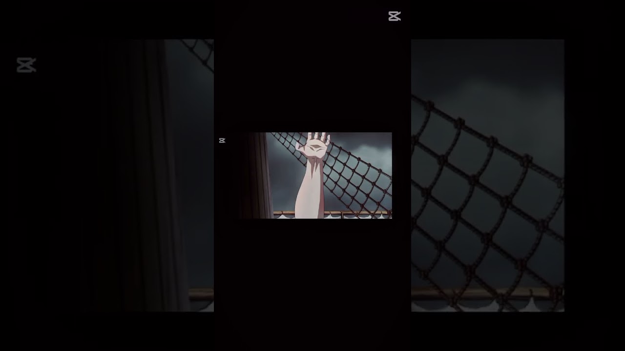 WHITE BEARD (NEW GATE ) is such a kind person?? #onepiece