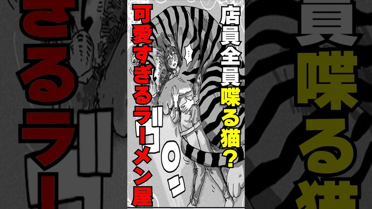 SNSでバズった猫漫画 #ラーメン赤猫 #cover #漫画 #漫画紹介