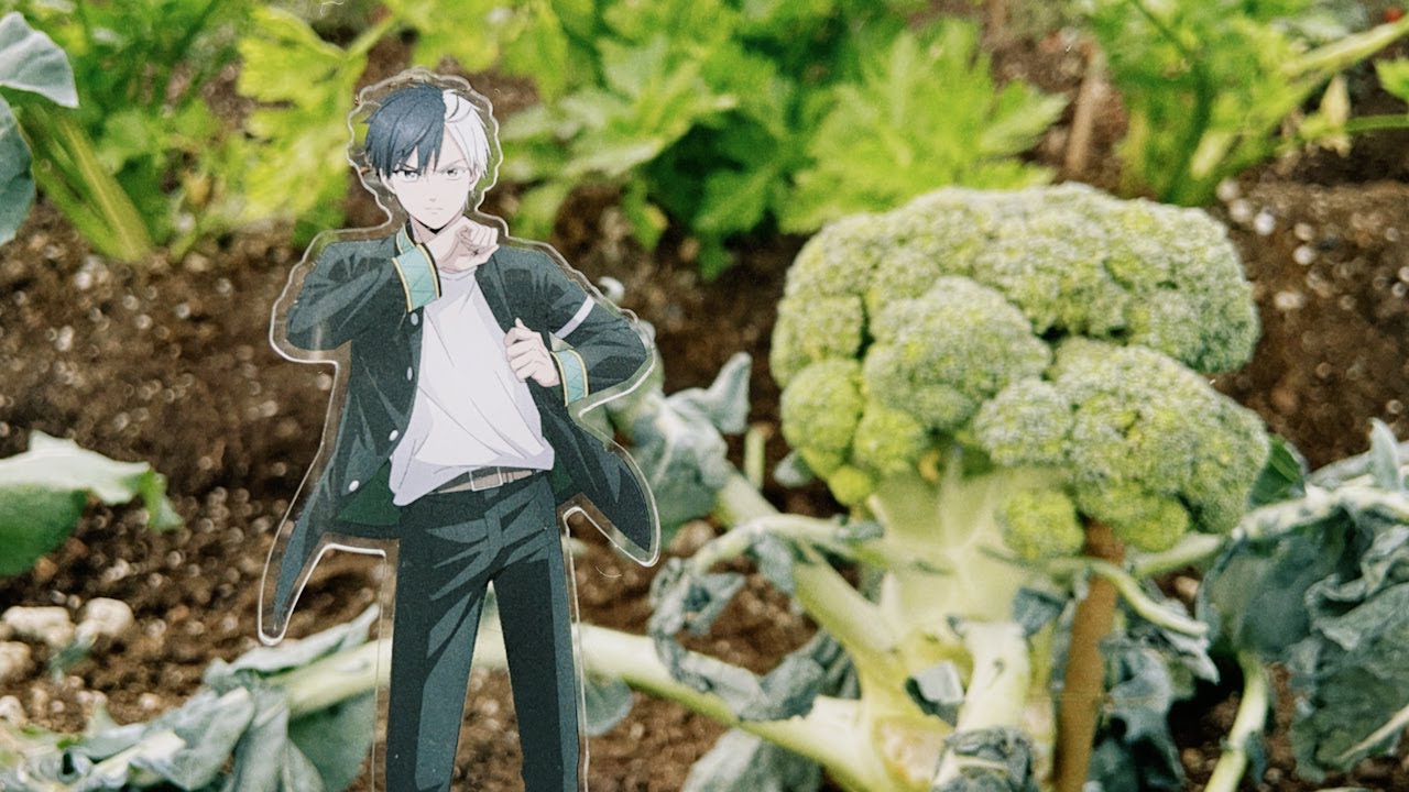 『WIND BREAKER』【萩原健太郎監督インタビュー#3】