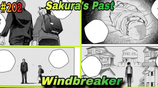 Windbreaker manga chapter 202 || explained in hindi  #windbreaker
