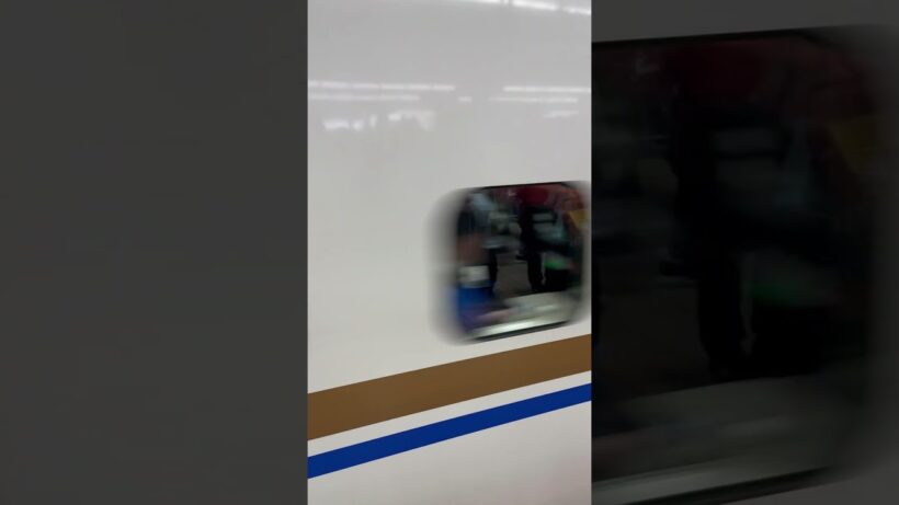 ただいま！おかえり！新幹線！welcome 2026! #happynewyear #train #travel #ひとり旅 #world #station #zug #reise