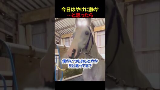 お馬さんは寒さに弱い…と思った次の瞬間！！