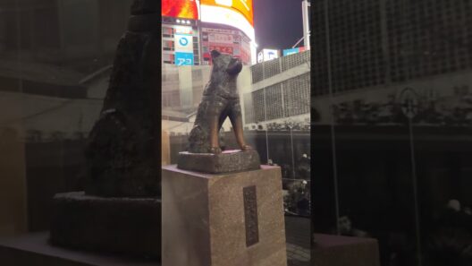 Hachiko the Dog in Shibuya #ハチコ #渋谷