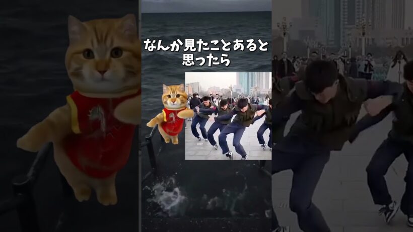 【衝撃】ナルトダンスって実は猫ミーム時代からあったんだ… #shorts #ナルトダンス #猫ミーム