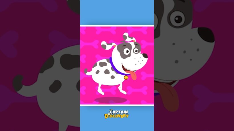 BINGO! Dog Song 🐶 #shorts #nurseryrhymes #kidssong #abclearningclub