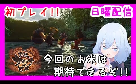 #4 今回いっぱい収穫できるのでは？【天穂のサクナヒメ】(潮 鳴海(男の娘)/水上家)