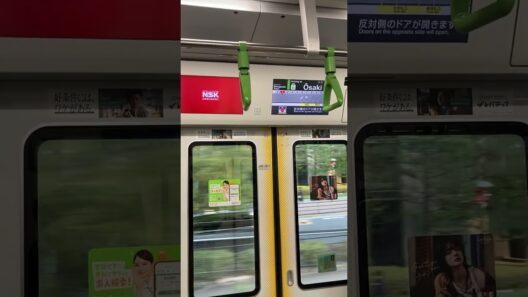 みんな大好きﾄｳｷｮｳﾘﾝｶｲｺｳｿｸﾃﾂﾄﾞｳﾘﾝｶｲﾗｲﾝwww