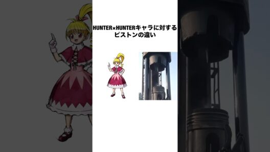 HUNTER×HUNTERキャラに対するピストンの違い #ハンターハンター #hxh #アニメ #shorts
