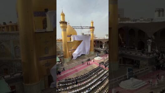 inauguration of the new golden gate at the holy shrine of Imam Ali (AS) #molaali #shianeali #najaf