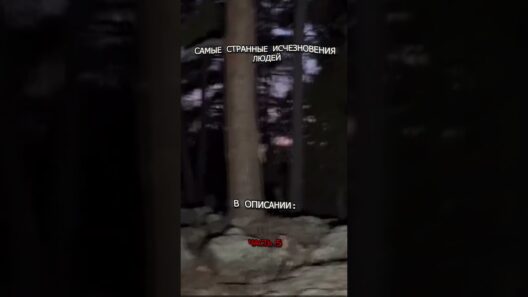 Самые Загадочные Исчезновения Людей - ЧАСТЬ 5 (Пропавшие без вести)
