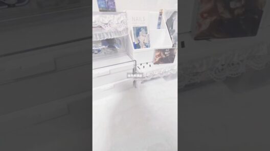 文字なしなのは許してください#黒執事 #プロセカ #プロジェクトセカイ #プロセカ好きと繋がりたい #青柳冬弥 #同担拒否 #白系統 #グッズ開封 #開封動画 #雰囲気