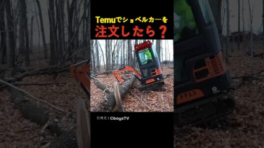 Temuでショベルカーを注文したら？