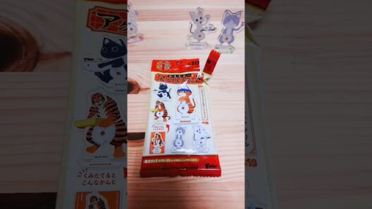 すみません、ラーメン赤猫ってお店の場所わかりますかね？ #アニメ #開封動画 #ねこ #可愛い