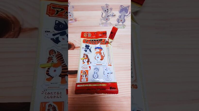 すみません、ラーメン赤猫ってお店の場所わかりますかね？ #アニメ #開封動画 #ねこ #可愛い