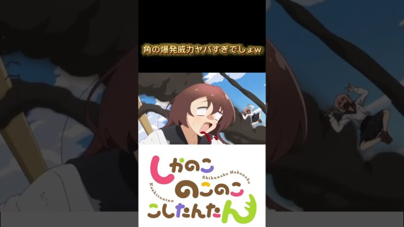角の爆発威力w#shorts #しかのこのこのここしたんたん #しかのこ #こしたん #のこたん