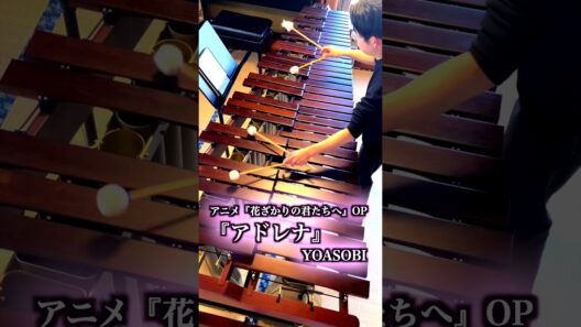 YOASOBI「アドレナ」をマリンバで｜アニメOP
