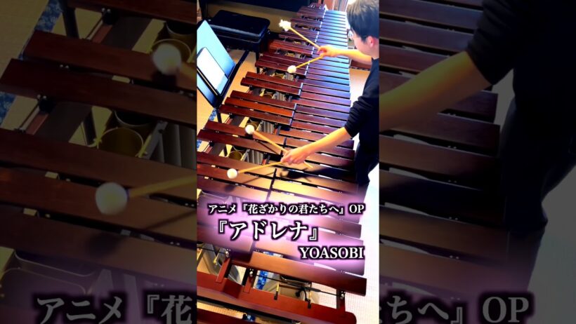YOASOBI「アドレナ」をマリンバで｜アニメOP