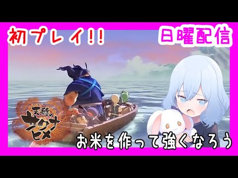 お米を作って強くなろう【天穂のサクナヒメ】(潮 鳴海(男の娘)/水上家)