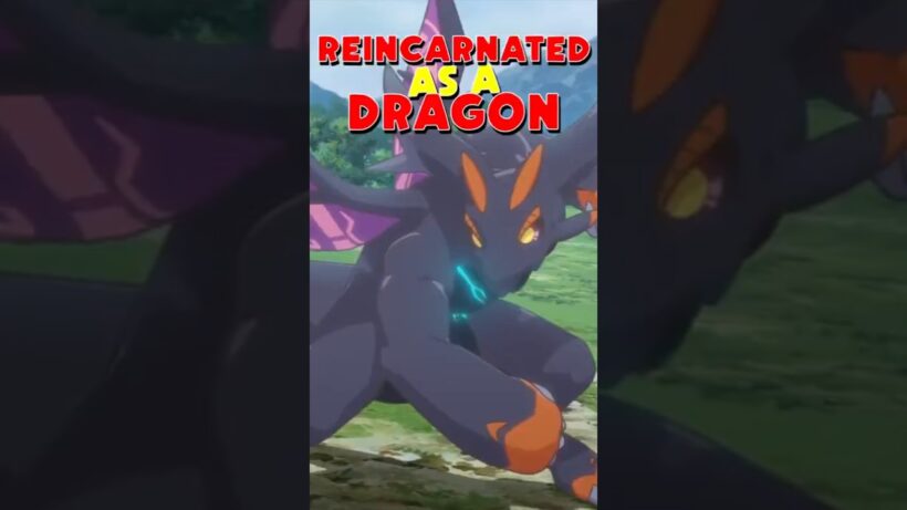 彼はドラゴンの幼生として転生した