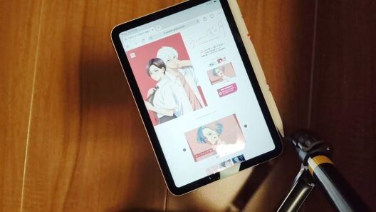 アニメ「うるわしの宵の月」4話感想　琥珀君には敵わない