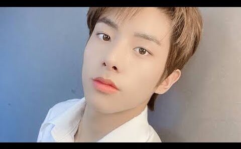 ニキ エンハイフン｜DARK MOONアニメが本格展開…知る人ぞ知る名作との声も (Enhypen)