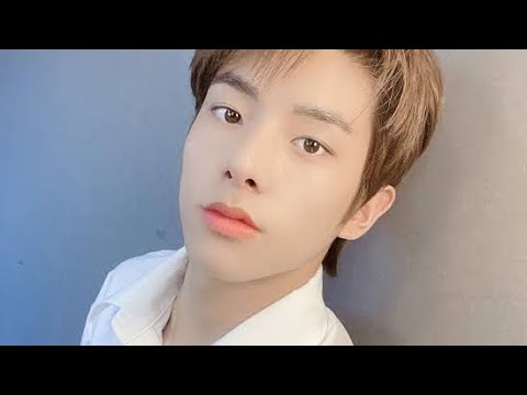 ニキ エンハイフン｜DARK MOONアニメが本格展開…知る人ぞ知る名作との声も (Enhypen)