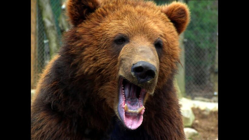 apex イケナイ太陽 (『花ざかりの君たちへ〜イケメン♂パラダイス〜