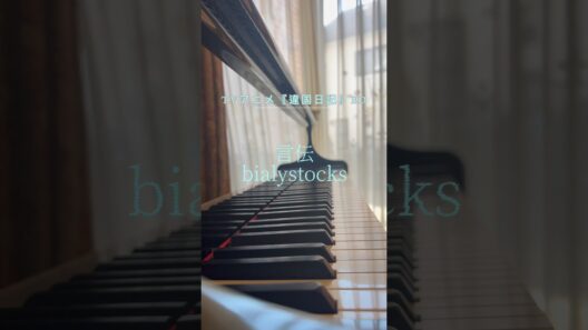 TVアニメ『違国日記』エンディングテーマ 言伝/bialystocks #ピアノ  #違国日記 #bialystocks