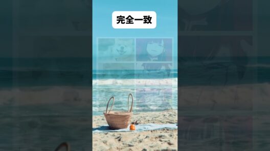 恋ちゃんモフりたい　#shorts #魔都精兵のスレイブ #山城恋