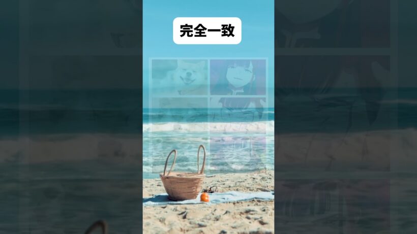 恋ちゃんモフりたい　#shorts #魔都精兵のスレイブ #山城恋