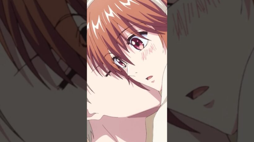 静稀兄ちゃんいらっしゃい!!｜TVアニメ「#花ざかりの君たちへ」第6話『兄ちゃんが来る！』より #HanaKimi #anime #山根綺 #八代拓 #立花慎之介