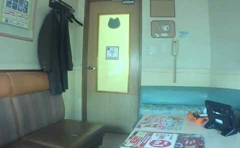 【メイン】 アザレアの風／UNISON SQUARE GARDEN (TVアニメ『うるわしの宵の月』ED曲) 歌ってみた