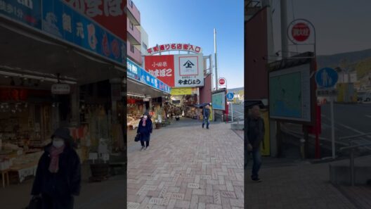 熱海にキンメクリーニングを探しに来たッ!!!!!! #綺麗にしてもらえますか。 #熱海 #散策