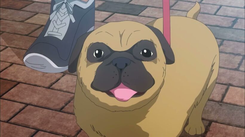 WASH IT ALL AWAY episode 1.