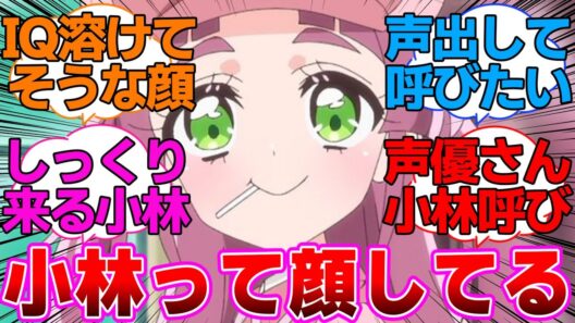 【プリキュア】小林の顔が小林すぎるに対するネットの反応集【名探偵プリキュア】