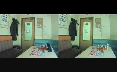 言伝／Bialystocks (TVアニメ『違国日記』ED曲) 歌ってみた