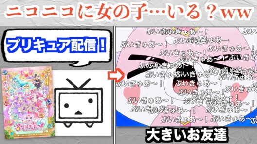 「名探偵プリキュア!」、ニコニコ動画で配信開始。コメントが予想通りるぎるww