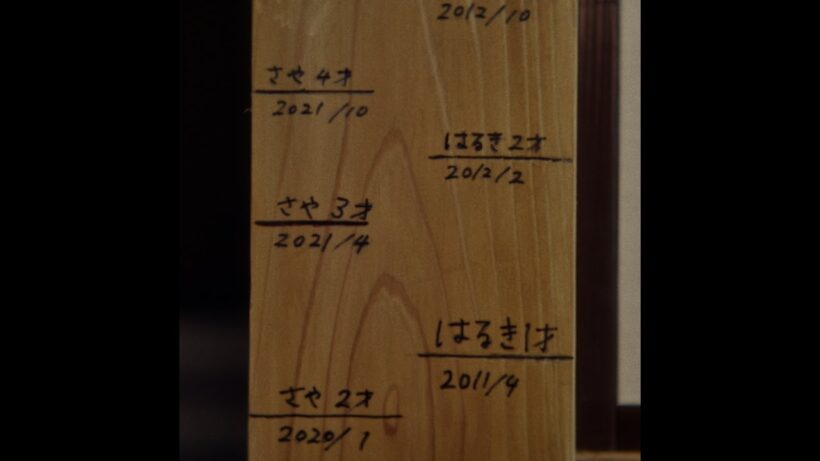 崎山蒼志 / 泡沫　[Official Music Video］