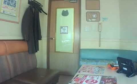 人形の街／小林私 (TVアニメ『アルネの事件簿』ED曲) 歌ってみた